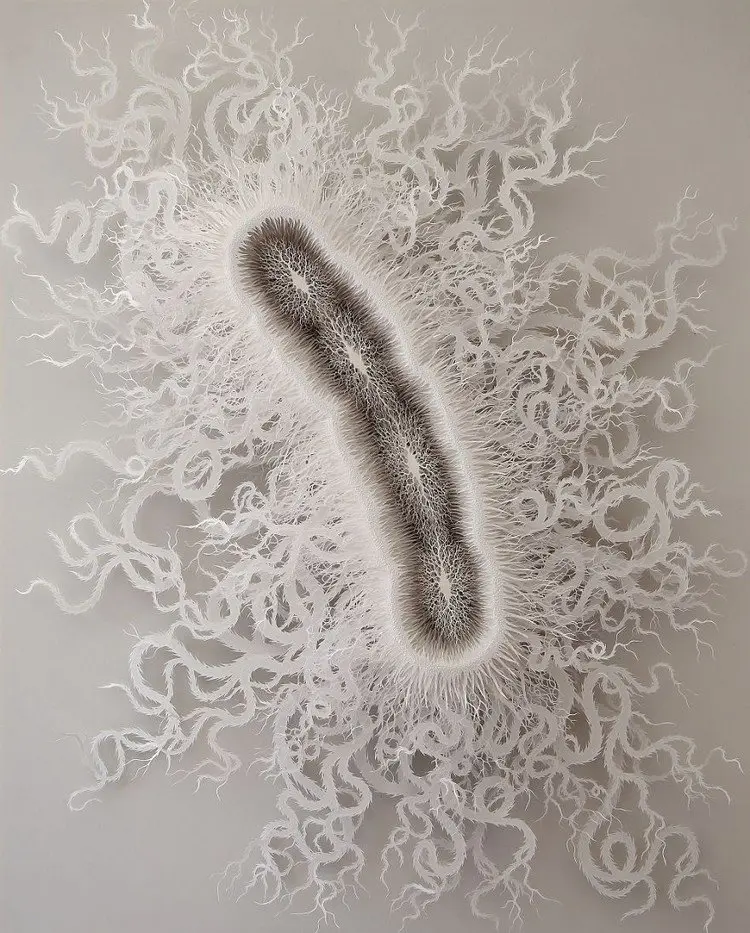 full paper microbe cut