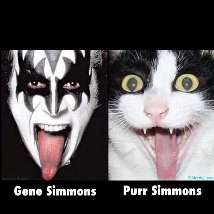 gene purr simmons