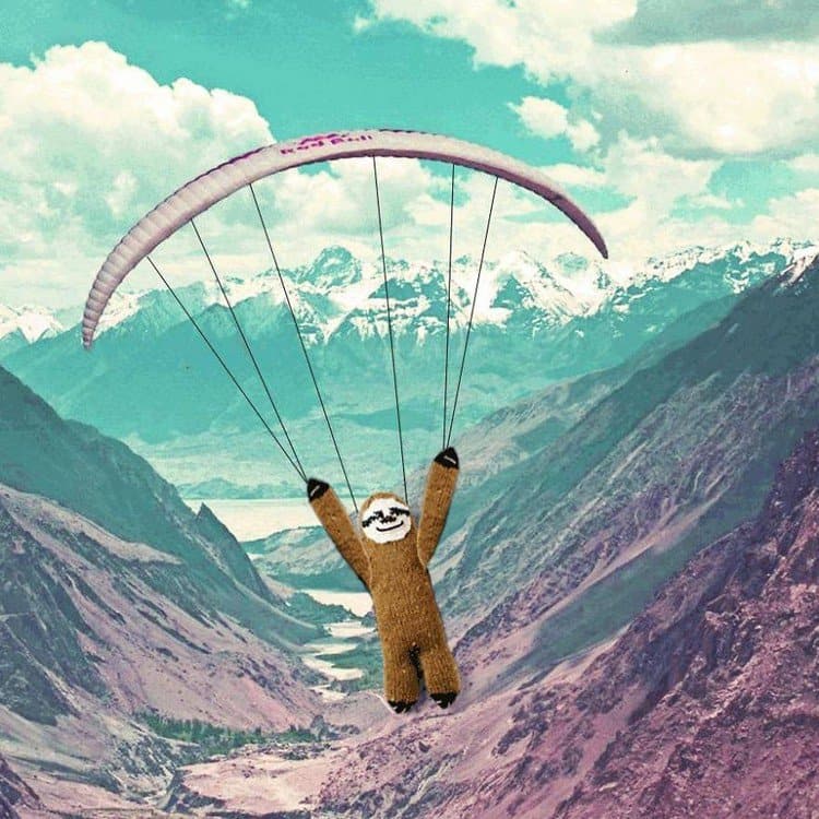 gliding super sloth