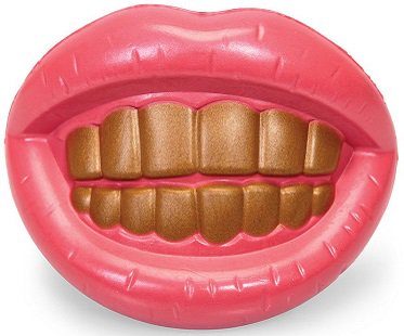 gold teeth dog toy mouth