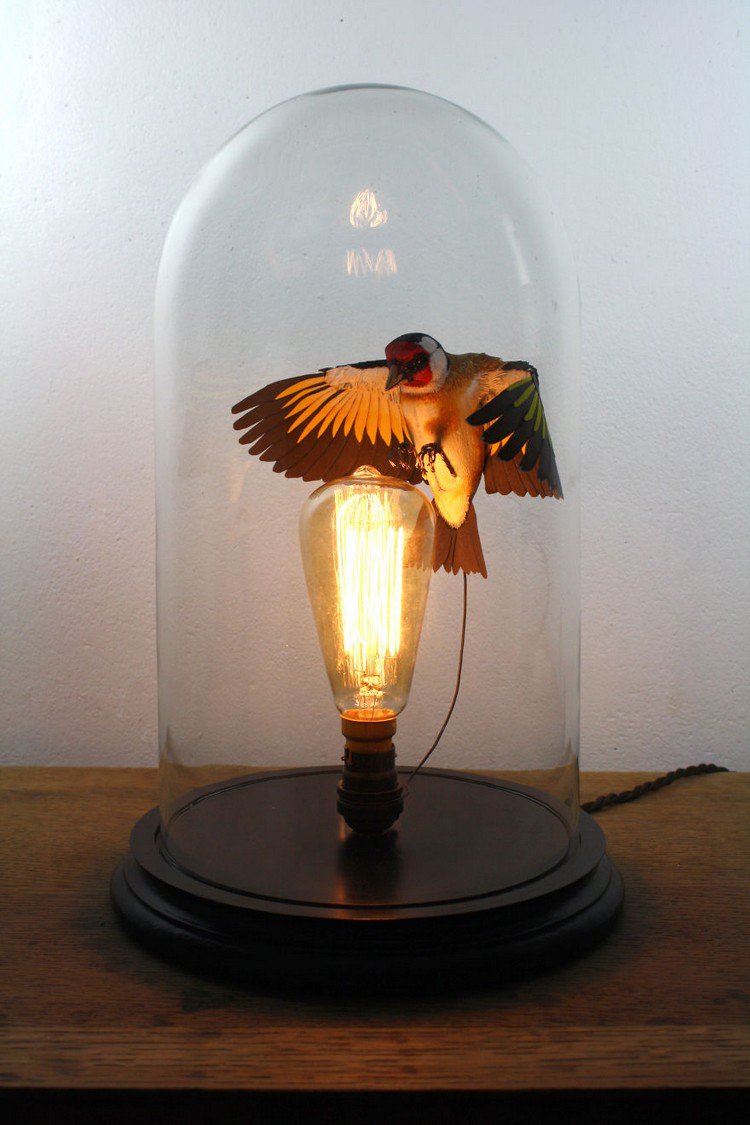 goldfinch belljar light