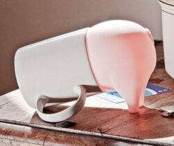 greedy pig money box