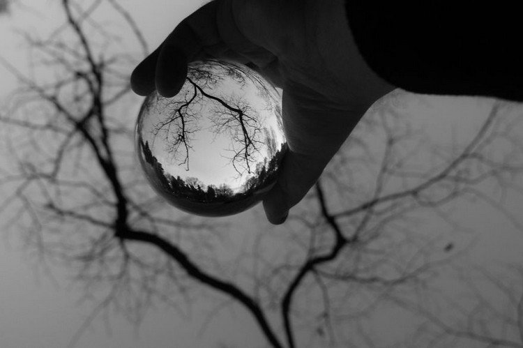 hand tree crystal ball