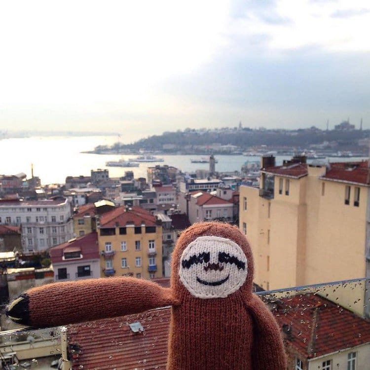 istanbul super sloth
