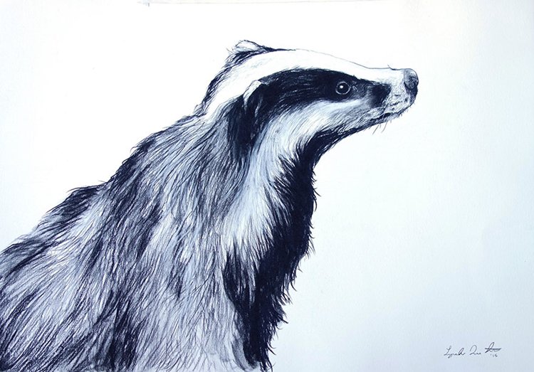 janie-stapleton-badger