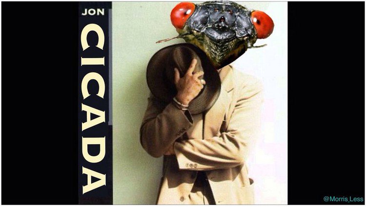 jon cicada