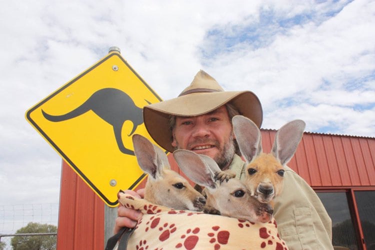 kangaroo-dundee-chris-brolga-barns-kangaroo-sanctuary