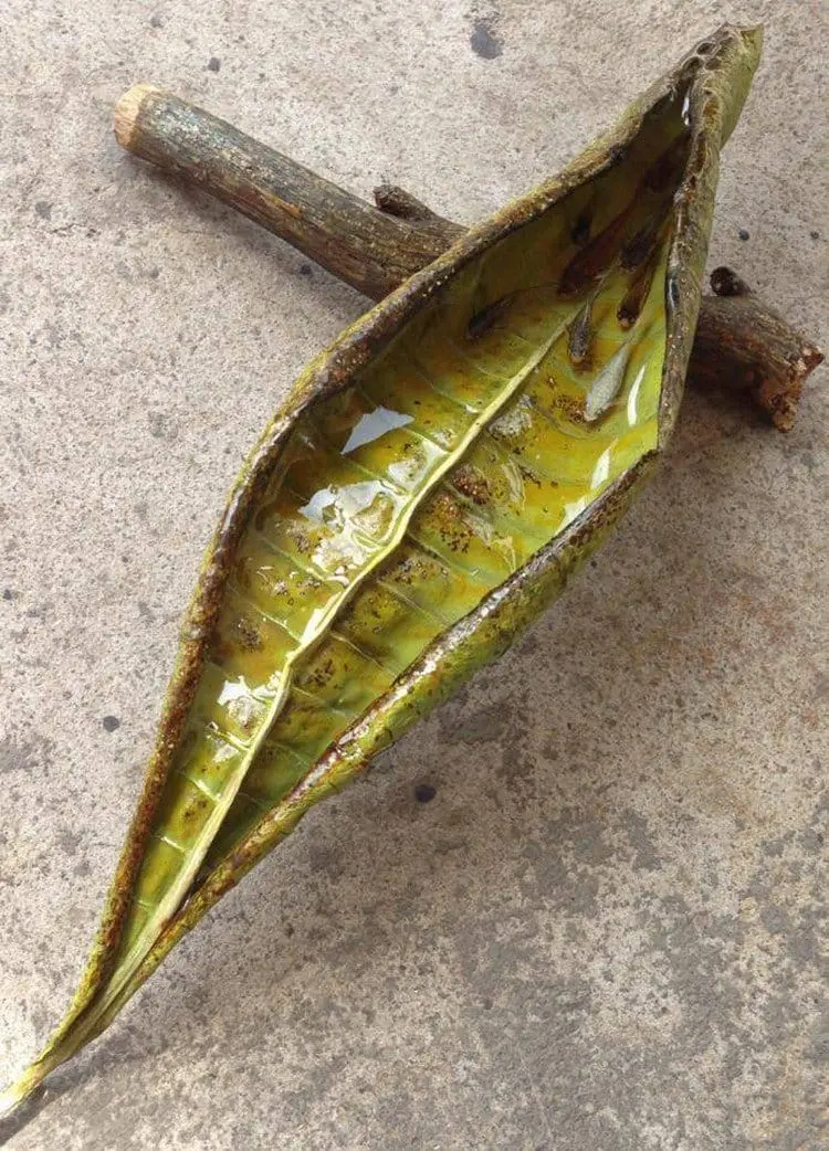 leaf fish resin