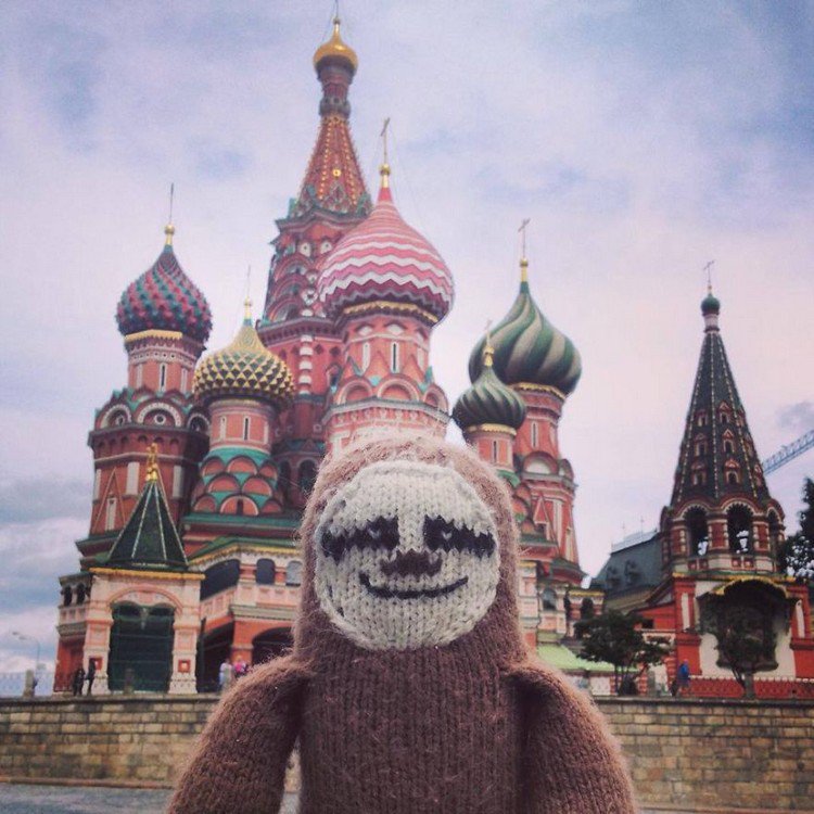 moscow super sloth