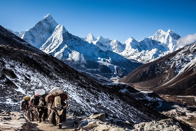 nepal-expedition