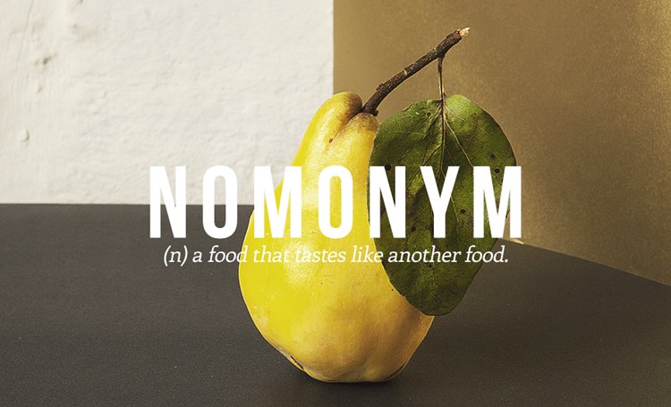 new-words-nomonym