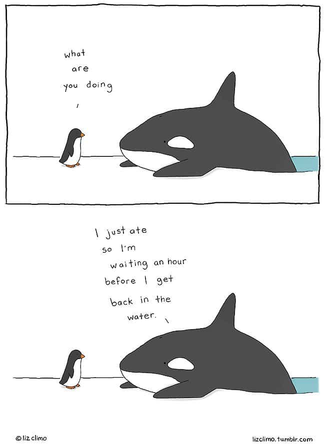orca eat