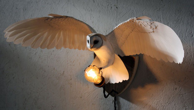 owl light