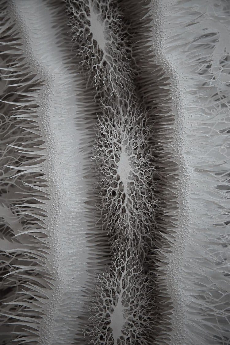 paper microbe close up