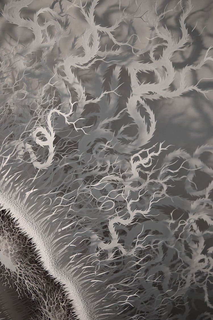 paper microbe mega close up