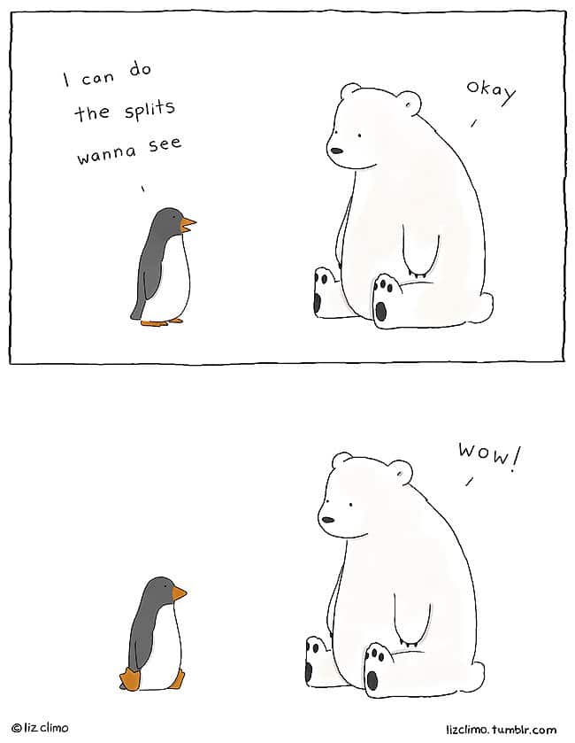 penguin splits