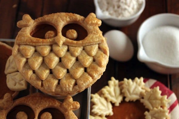 pie-owl