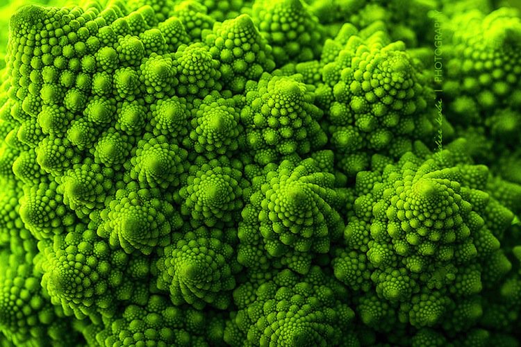 plants-brocoli