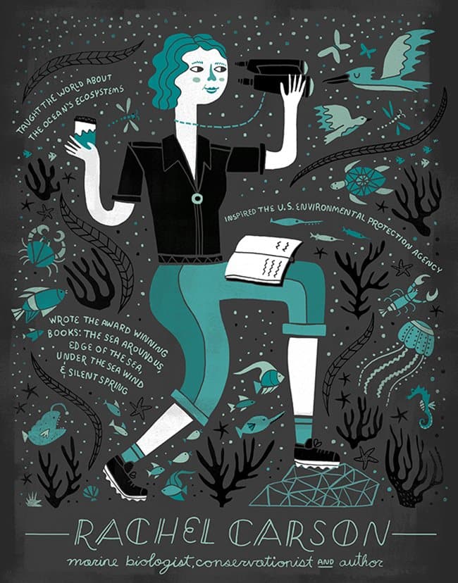 rachel-ignotofsky-carson-rachel