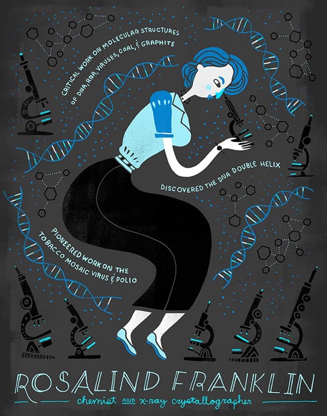 rachel-ignotofsky-rosalind