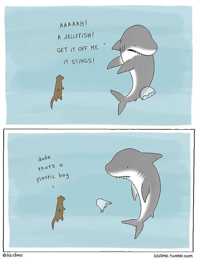 Illustrator Liz Climo Created These Cute And Hilarious Animal Cartoons