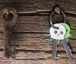 skeleton key covers