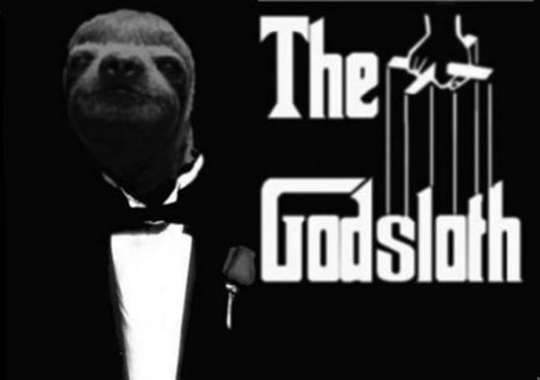 the godsloth