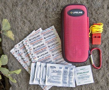 the walking dead survival kit plasters
