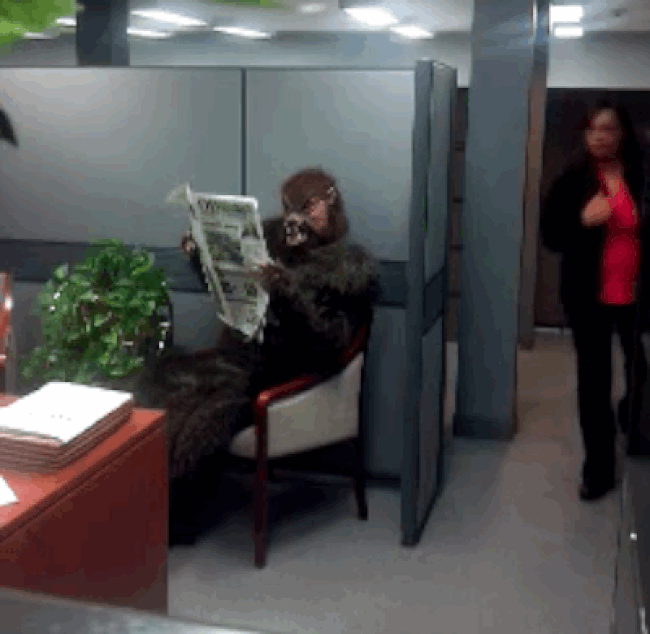 werewolf reading office