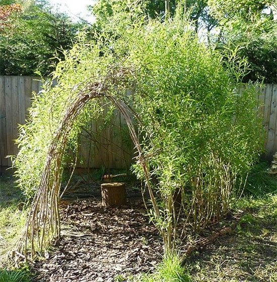 willow-den