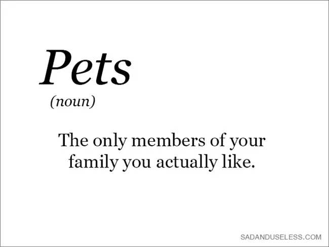 word-pets