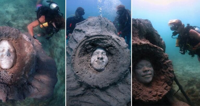 Artist Built A Sculpture And Left It Under The Ocean