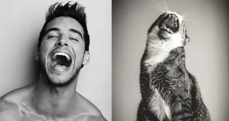 Blog Shows Photos Men Next To Kittens