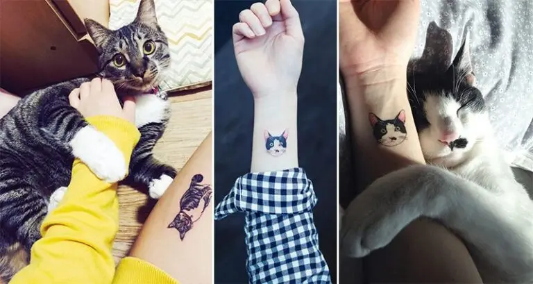 Cat Tattoos South Korea