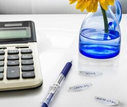 Daisy Petal Sticky Notes