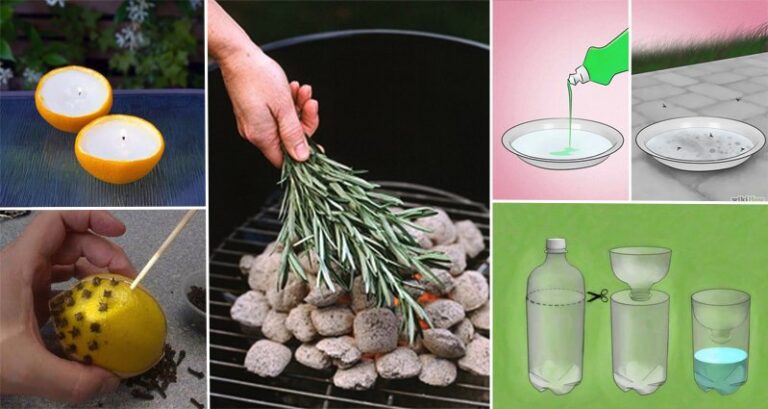 11 Ingenious Hacks For a Bug-Free Summer Hacks For A Bug Free Summer