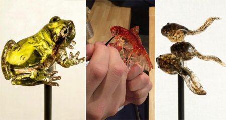 Japanese Animal Lollipops