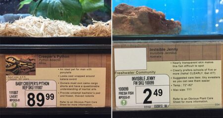Jeff Wysaski Replaces Labeling In His Local Pet Store