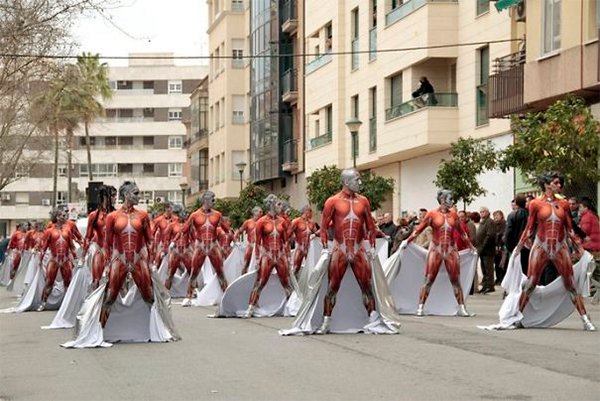 Many Anatomical Suits