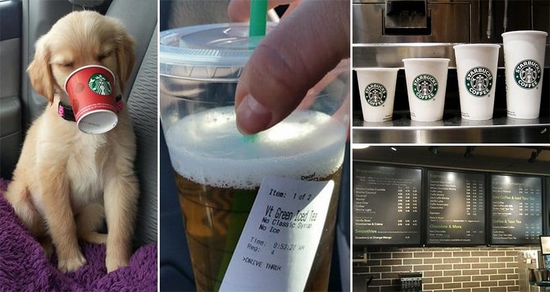 20 Money Saving Tips For Starbucks You Need To Know