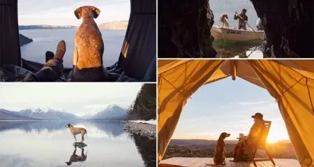 Rescue Dog And Her Owner Go On Adventures Together