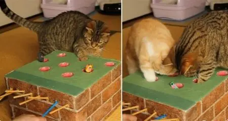 Whack-A-Mole Game For Cats