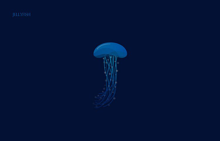 alphabet jellyfish
