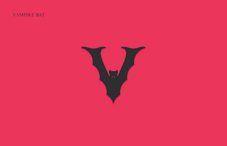 alphabet vampire bat