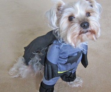 batman dog costume cape