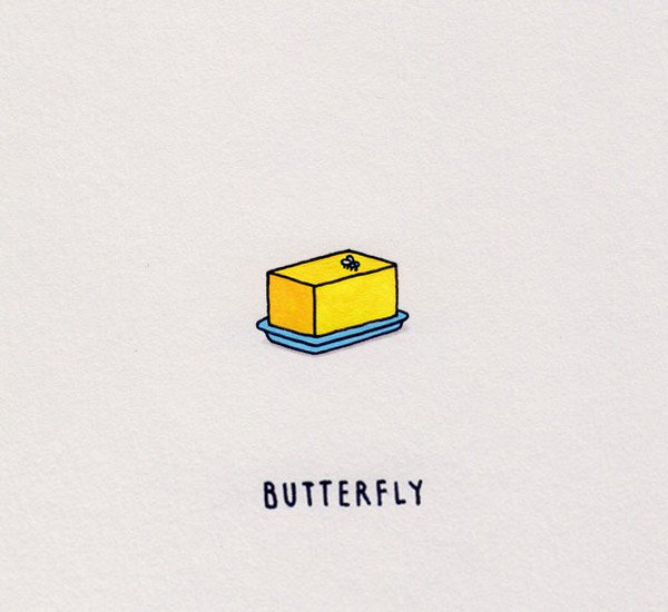 butter fly