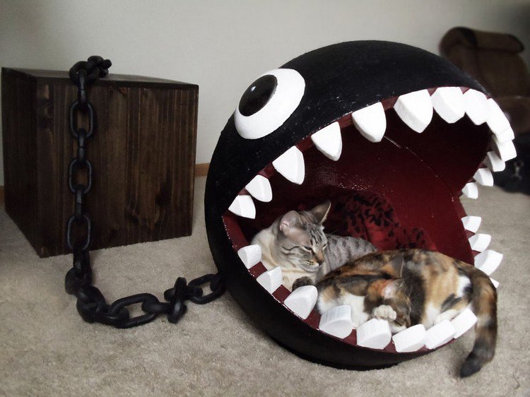 cat bed chomp