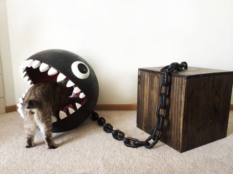 cat checking chain chomp