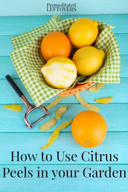 citrus-peel