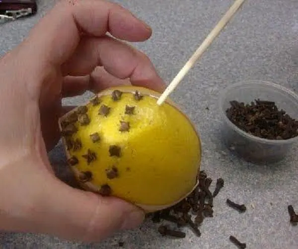 cloves in lemon